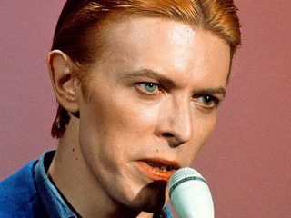 Científico nombra a araña en honor a David Bowie